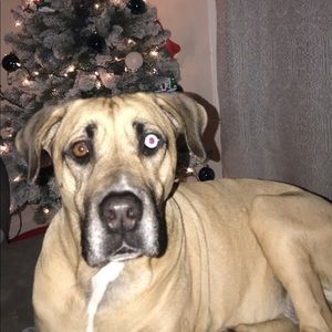 Meet your Posher, Madison